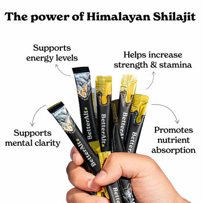 Shilajit Honey Sticks